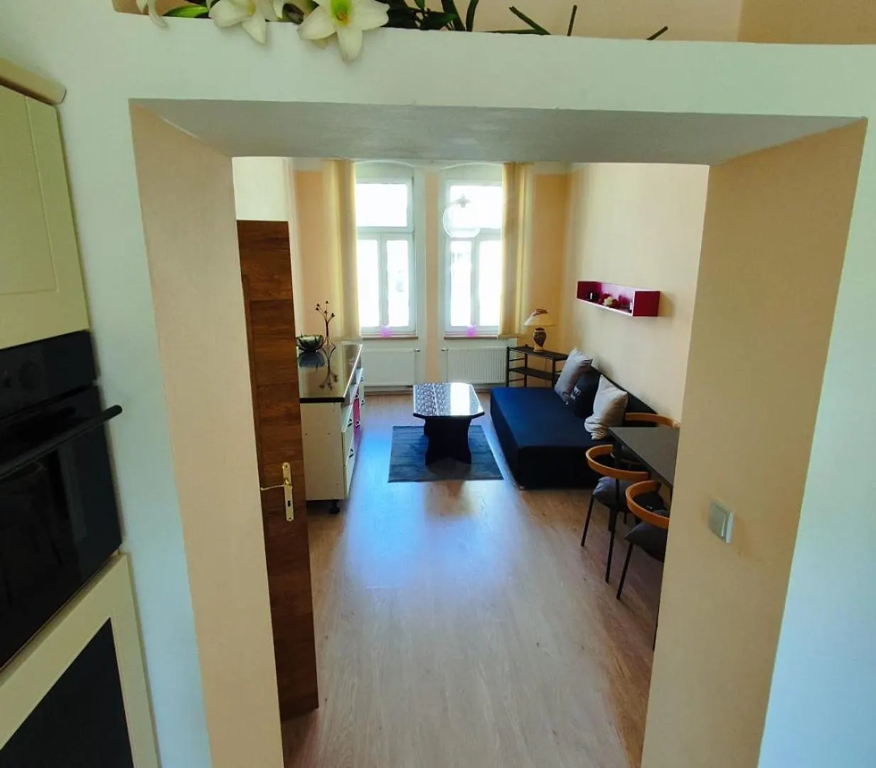 Apartamento Golden X Cross Karlovy Vary 0*,