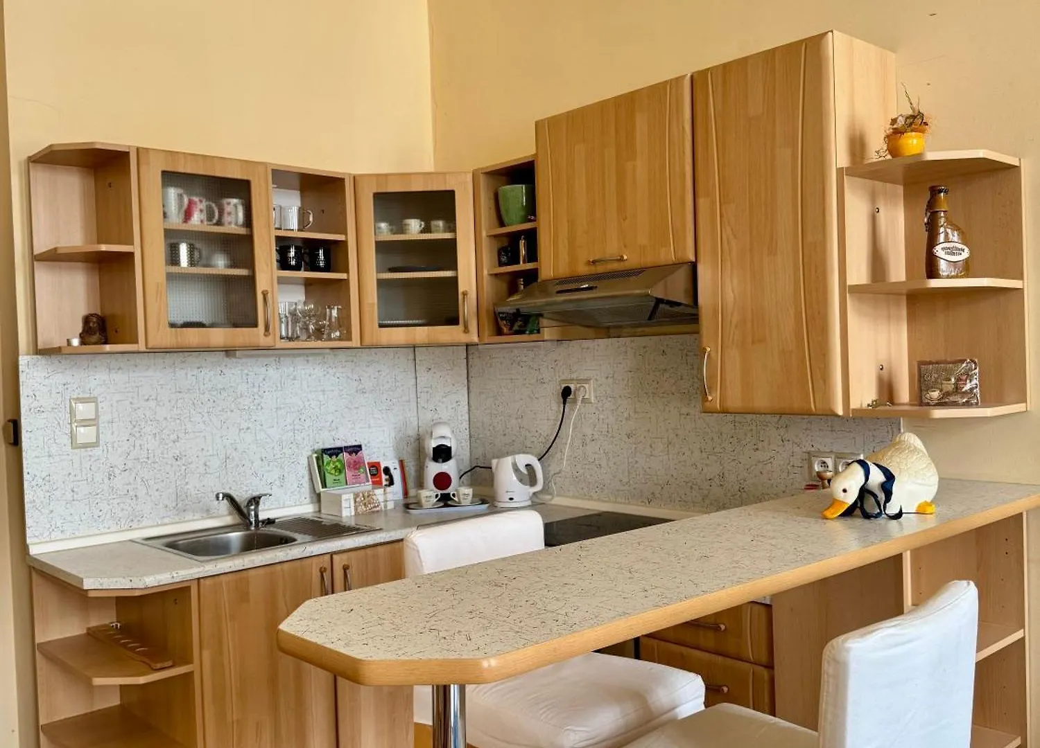 Golden X Cross Apartment Karlovy Vary